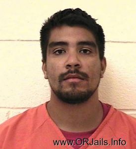 Armando  Ortega Arrest