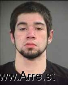 Austin Ellsworth Arrest Mugshot