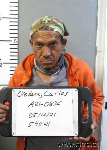Carlos Gonzalez Orellana Arrest Mugshot