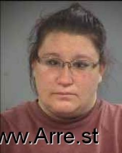 Dawn Lovik Arrest