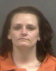 Elizabeth Holman Arrest Mugshot