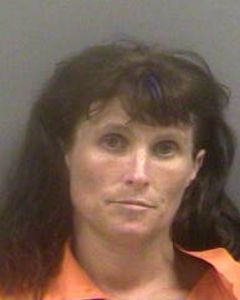 Heather Mcgibbon Arrest Mugshot