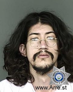 Lucas Matsutani-cortes Arrest Mugshot