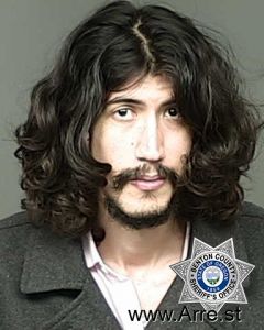 Lucas Matsutani-cortes Arrest Mugshot