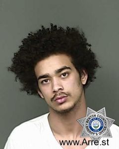 Luis Blanco Jr Arrest