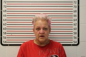 Lisa Garrison Arrest Mugshot