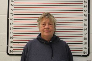 Susanne Benthin Arrest Mugshot