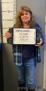 Wendie Cadek Arrest Mugshot