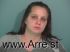 Stephanie Williams Arrest Mugshot Polk 11/17/2015 