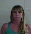 VICKIE  TIPPETTS Arrest Mugshot Josephine 06/24/2010