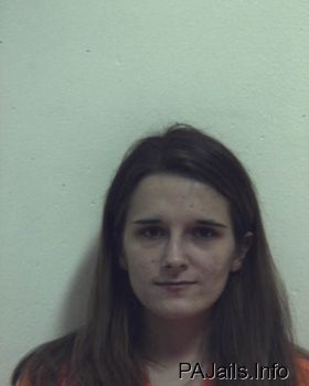 Amanda  Miller Mugshot