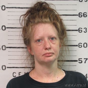 Amanda Danielle Mitchell Mugshot