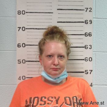 Amanda Danielle Mitchell Mugshot