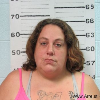 Ashlee Elizabeth Williams Mugshot