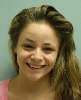 Amanda  Anderson Mugshot