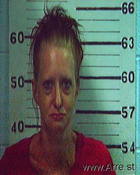 Amanda Danielle Mitchell Mugshot