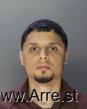 Angel Javier Bocachica-gonzalez Mugshot