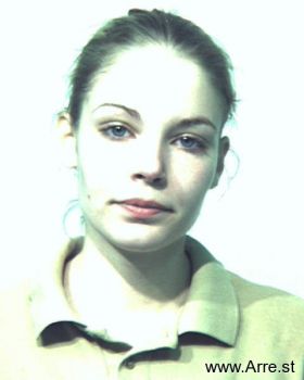 Brandi Lee Beichner Mugshot