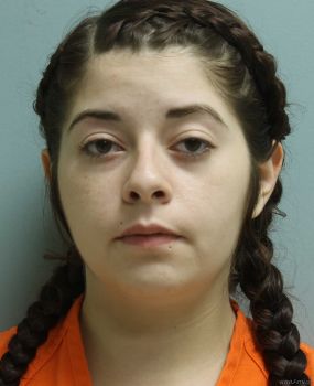 Brandy  Bujanowski Mugshot