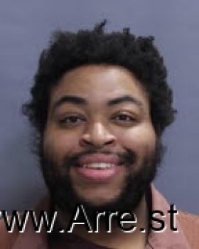 Brice Patric Rys Williams Mugshot