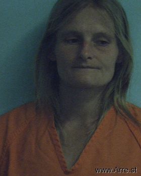 Christin Sue Cousins Mugshot