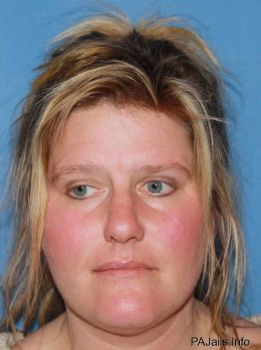 Chris Ann Mcchesney Mugshot