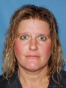 Chris Ann Mcchesney Mugshot