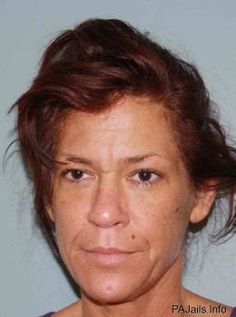 Cynthia Lynn Stepinsky Mugshot