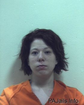 Deana  Palo Mugshot