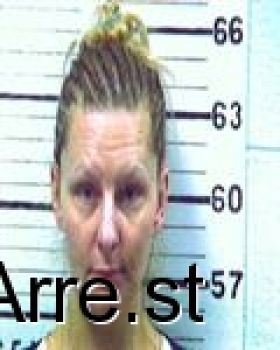 Danielle Marie Parsons Mugshot