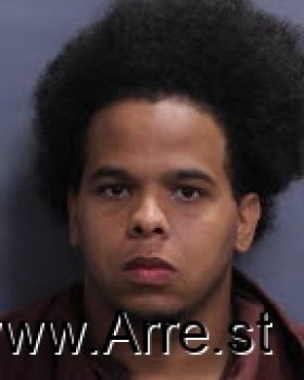 Diony Ulerio De Los Santos Mugshot