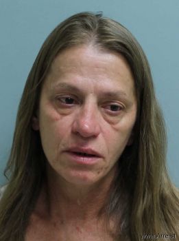 Donna  Gribschaw Mugshot