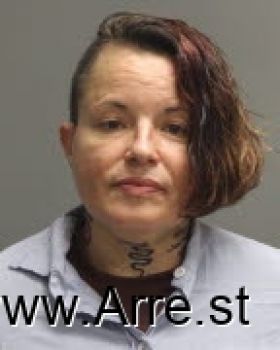 Janice Lynn Cercone Mugshot