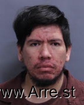 Jorge  Alfaro Mugshot