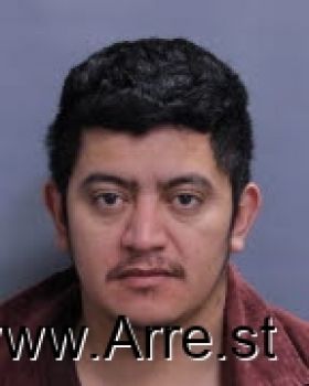 Jose  Avalo-hernandez Mugshot