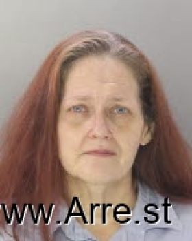 Julie Ann Sarver Mugshot