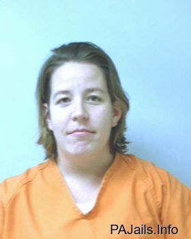 Lisa Ellen Smith Mugshot