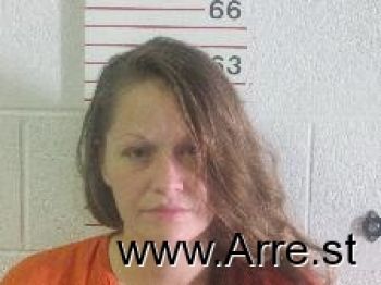 Lane Nicole Shelstad Mugshot