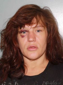 Michelle Sue Palmer Mugshot