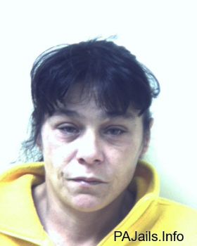 Patricia A Ndrews Mugshot