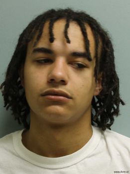 Robert  Fields              Jr Mugshot