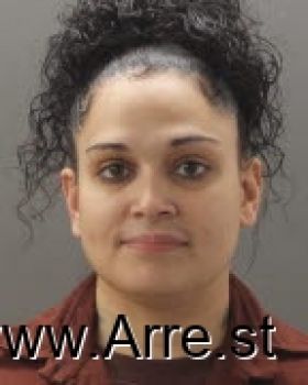 Stacey R Wright-snyder Mugshot