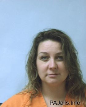 Tammy Lynn Anderson Mugshot