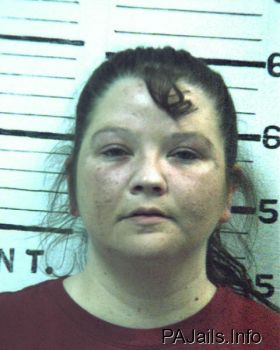 Teresa Lynn Redman Mugshot