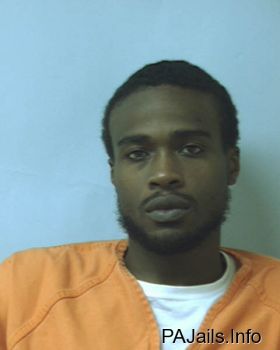 Troy Anthony Johnsonjr Mugshot