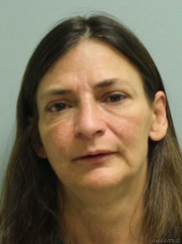 Tammy  Vrabel Mugshot