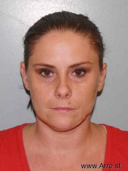 Terri Lynn Downs Mugshot