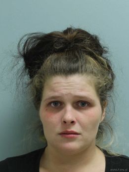 Tiffany  Blattenberger Mugshot