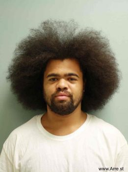 Travis  Holmes Mugshot