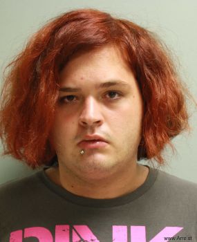 Tyler  Haman Mugshot